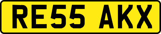 RE55AKX
