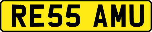 RE55AMU