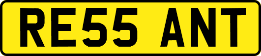 RE55ANT