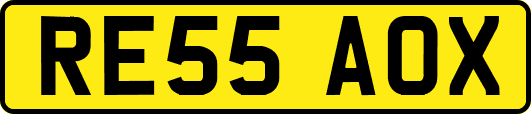 RE55AOX