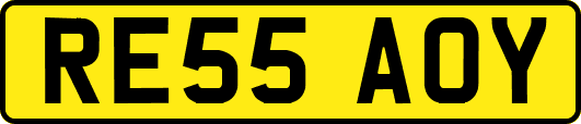 RE55AOY