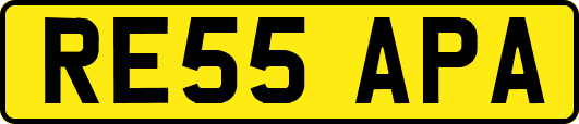 RE55APA