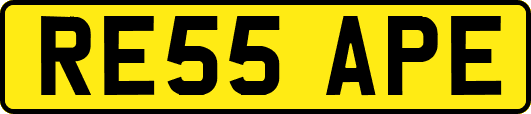 RE55APE