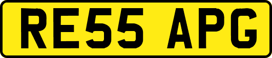RE55APG