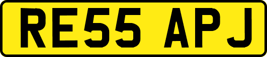 RE55APJ