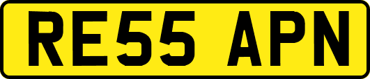RE55APN