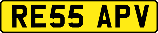 RE55APV