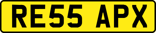 RE55APX