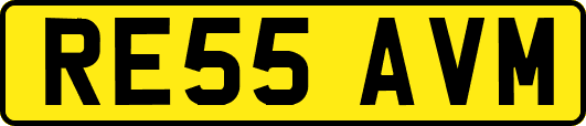RE55AVM