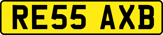 RE55AXB