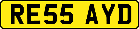 RE55AYD