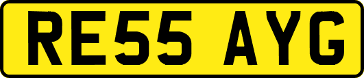 RE55AYG