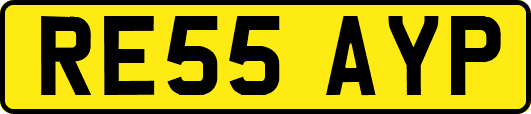 RE55AYP