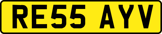 RE55AYV