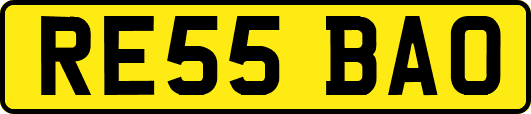 RE55BAO
