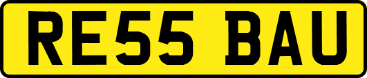 RE55BAU