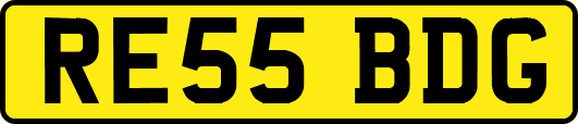 RE55BDG