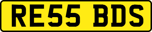 RE55BDS