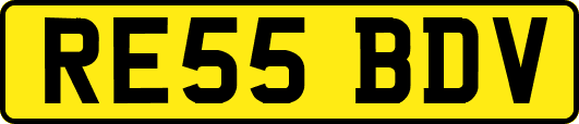 RE55BDV