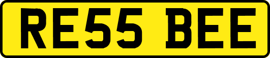 RE55BEE