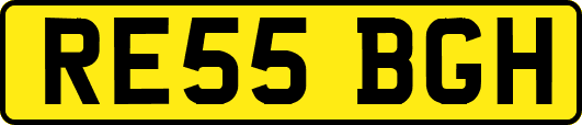 RE55BGH