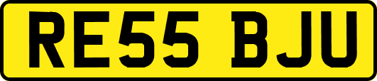 RE55BJU