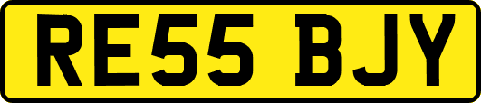 RE55BJY