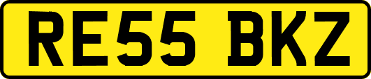 RE55BKZ
