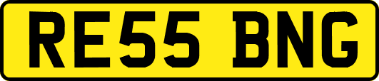 RE55BNG