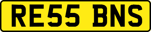 RE55BNS