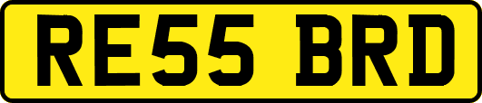 RE55BRD