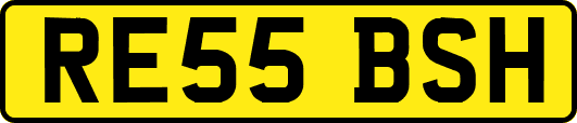 RE55BSH