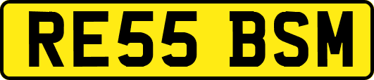 RE55BSM