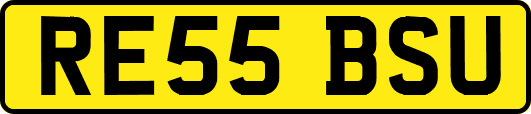 RE55BSU