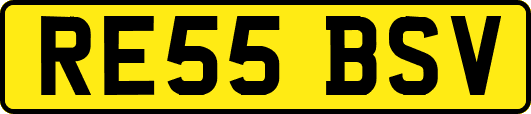 RE55BSV