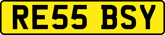 RE55BSY