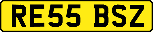 RE55BSZ
