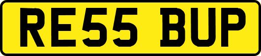 RE55BUP