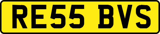 RE55BVS
