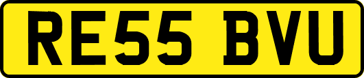 RE55BVU