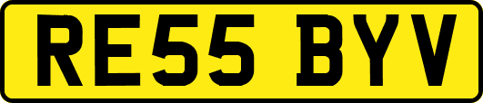 RE55BYV