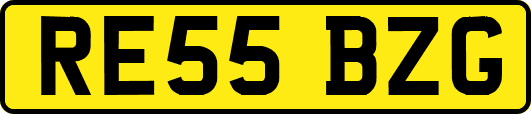 RE55BZG