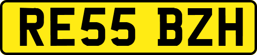 RE55BZH