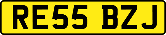 RE55BZJ