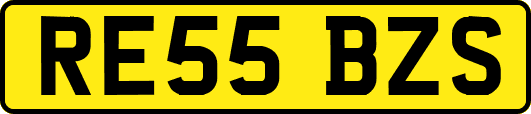 RE55BZS