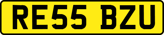 RE55BZU