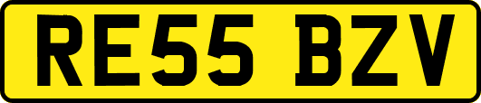 RE55BZV