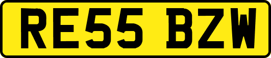 RE55BZW