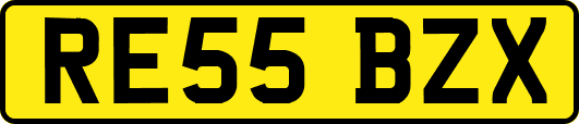 RE55BZX