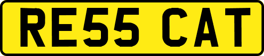 RE55CAT